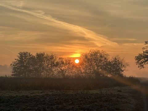 Jó reggelt ❤️