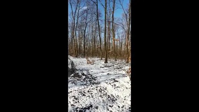 VID_20240108_115158.mp4