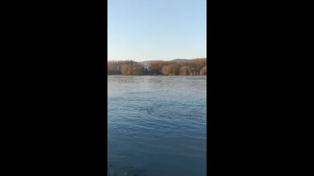 VID_20240110_082226.mp4