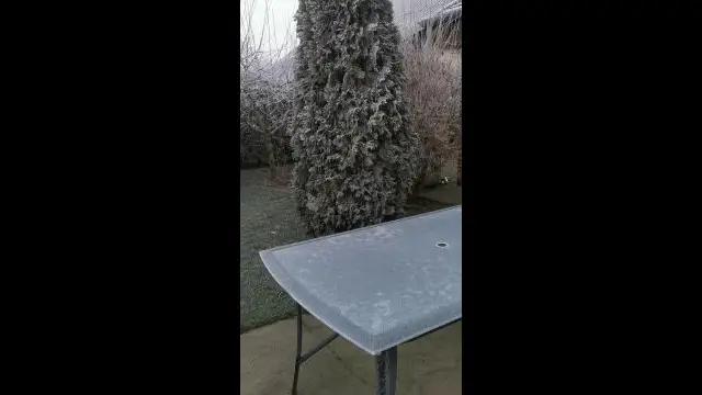 VID_20240111_074610.mp4