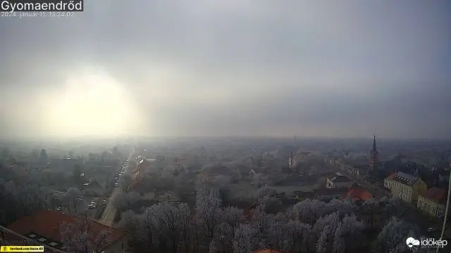 Napsugarak harca a köddel szemben