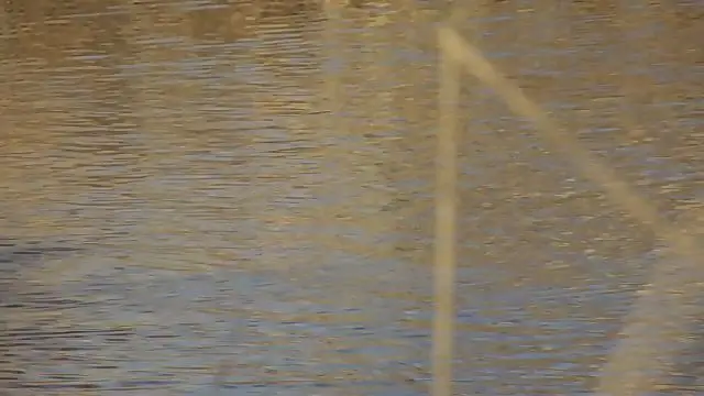 bukók a Kána tavon