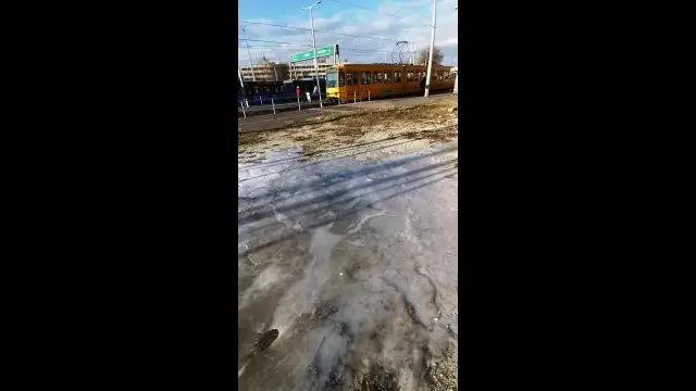 VID_20240116_084005.mp4