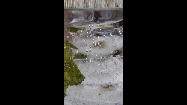 VID_20240116_154129.mp4