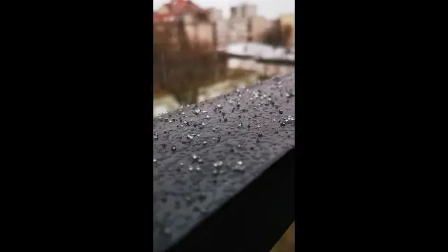 VID_20240117_091147.mp4