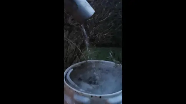 VID_20240118_070120.mp4