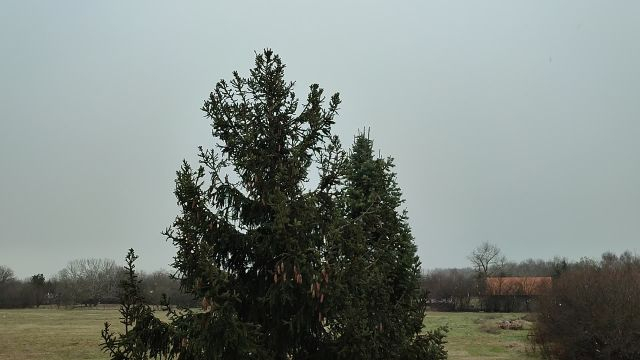 Havazás kezdődött, kavarognak a hópelyhek