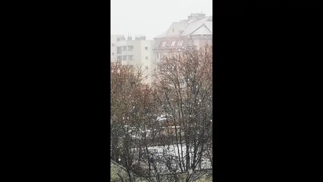 VID_20240119_094958.mp4