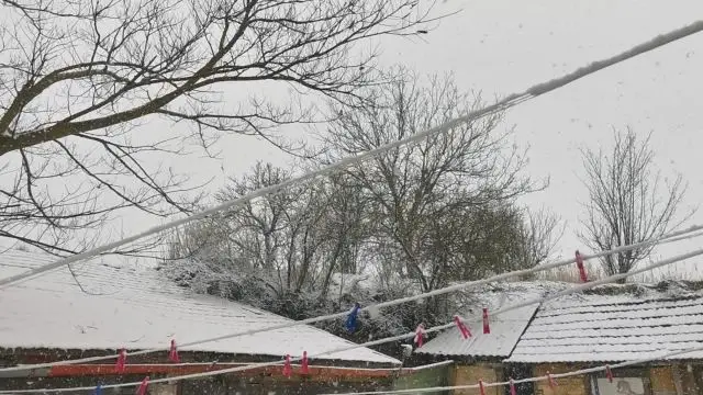 VID_20240119_095638.mp4