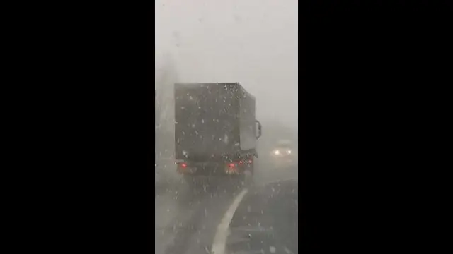 VID_20240119_105545.mp4