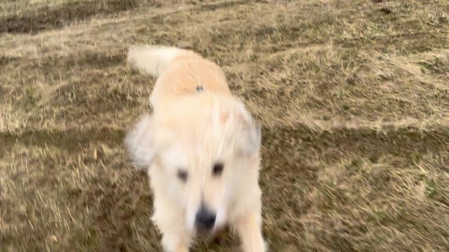 Üdvözlet az Időkép közösségnek Fügétől :)