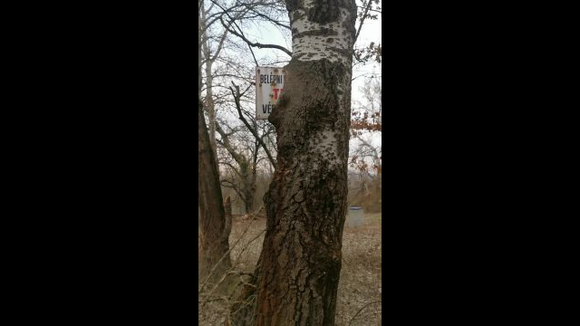 VID_20240215_154838.mp4