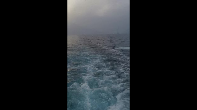 VID_20240217_122310.mp4