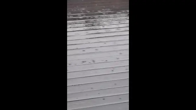 VID_20240225_162742.mp4