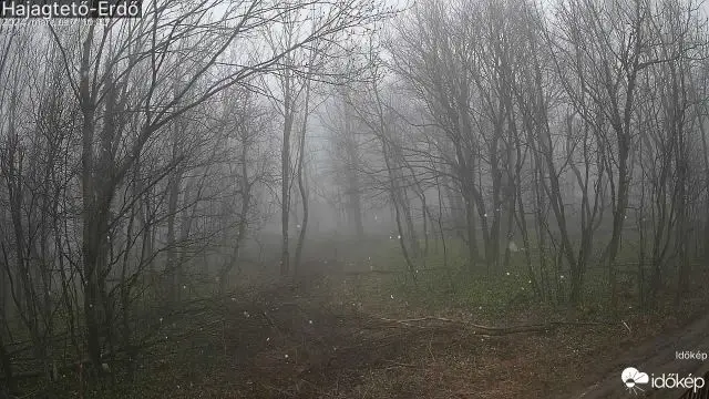Hajagtető-Erdő (hajag2) gyorsított felvétele