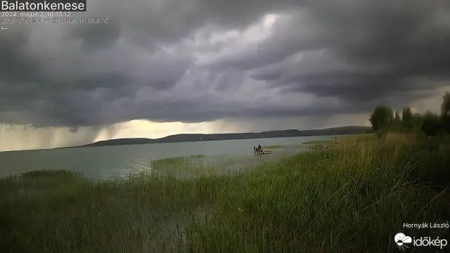 Felsöpörték a virgák a Balatont