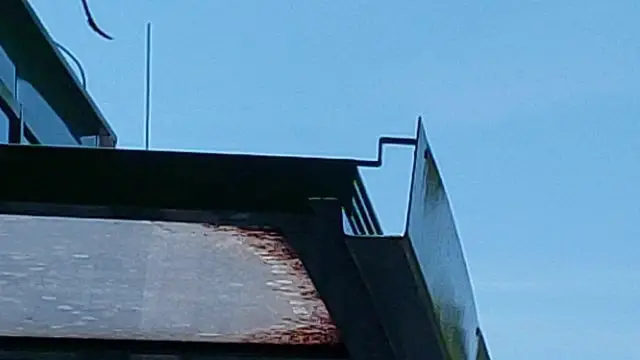 Zöld gyík a Balaton Uszoda esőbeállójának tetején