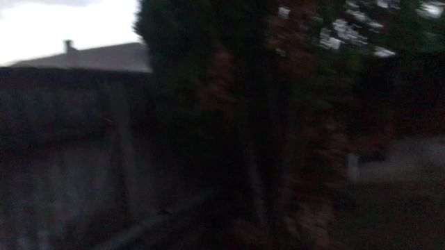 11AB5B80-FC03-4D5B-A5A4-2A4D7A0F0C92.mp4