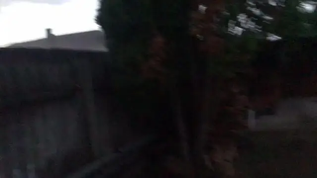 11AB5B80-FC03-4D5B-A5A4-2A4D7A0F0C92.mp4