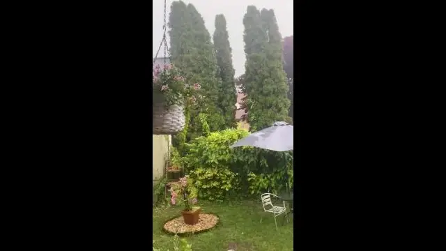 1D01C0EE-062E-41CA-B35C-D7E09DA8B276.mp4