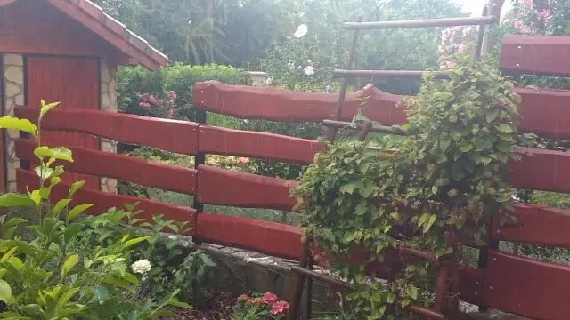 VID_20240708_195138489.mp4