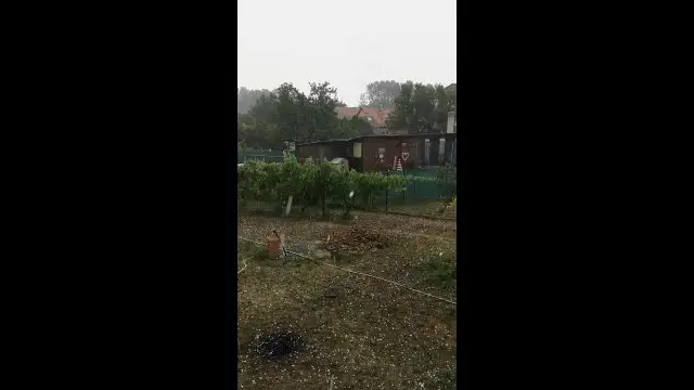 VID_20240717_162310.mp4