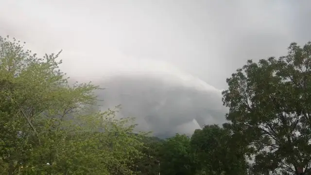 VID_20240802_184806.mp4