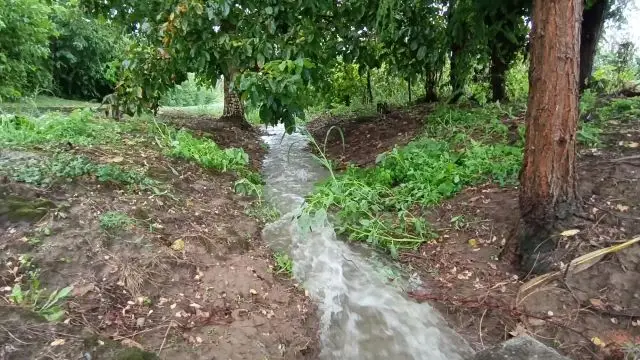 Kis patak lett az árokból néhány órára!