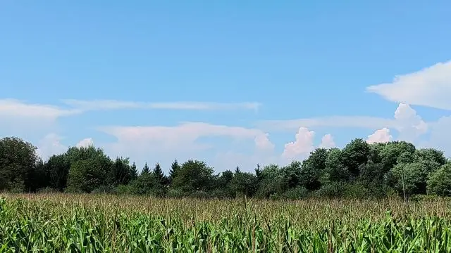 Ma délutáni erős zivatarok az Alpok felett