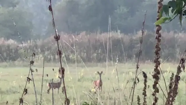 Mami&Bambi ❤️