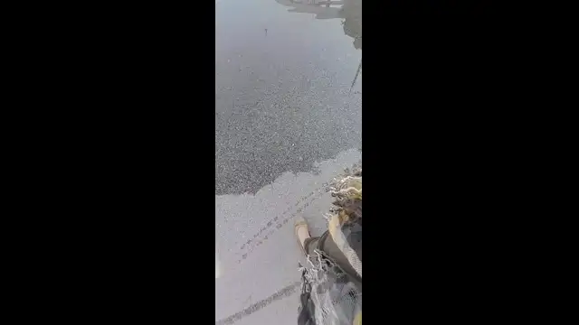 SZEGEDI ÁRADÁS A TISZÁN