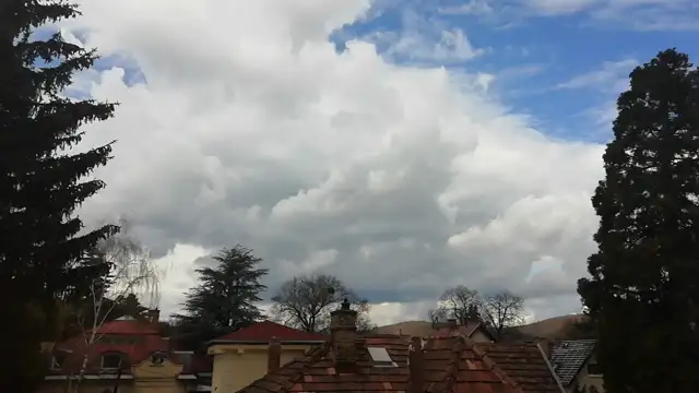 VID_20230325_113745.mp4