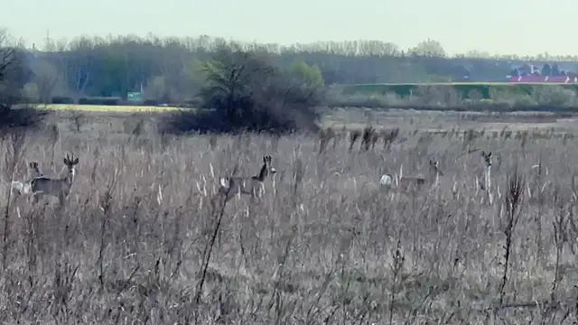 trim.D6EED1AA-A2DC-459C-BA47-DB6E4359D690.MOV