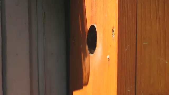 Széncinege fészket készít