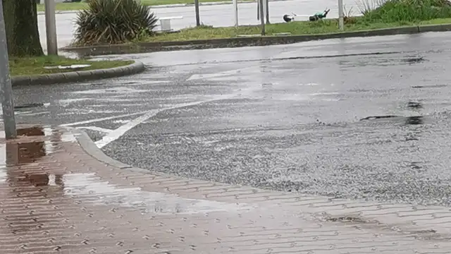 VID_20230327_113919.mp4