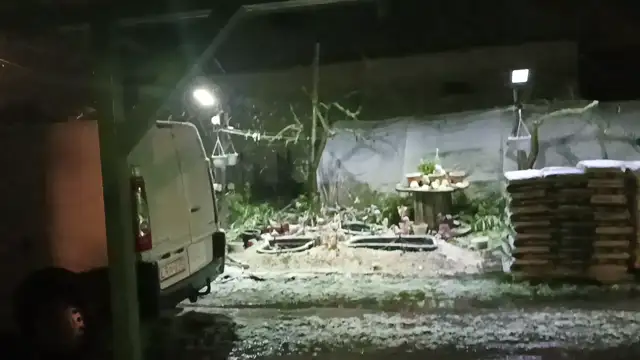 VID20230327222755.mp4