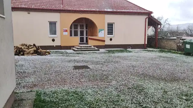 VID20230328131845.mp4