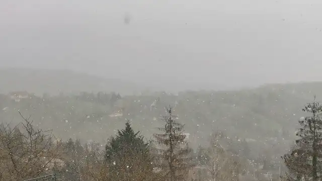 VID_20230328_174415.mp4