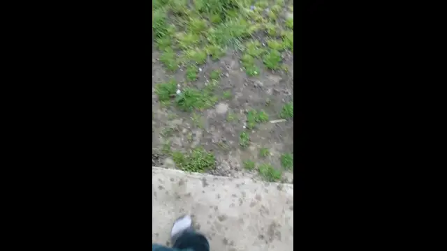 VID_20230402_122739.mp4