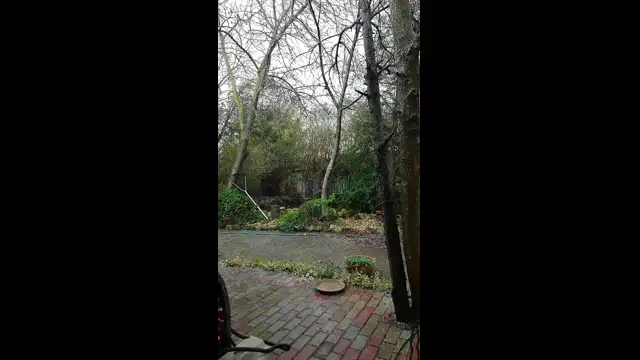 VID_20230402_135713.mp4