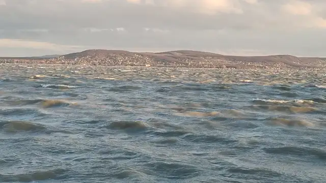 VID_20230403_065541.mp4