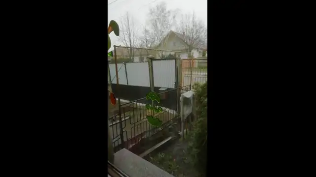 VID_20230404_120617.mp4