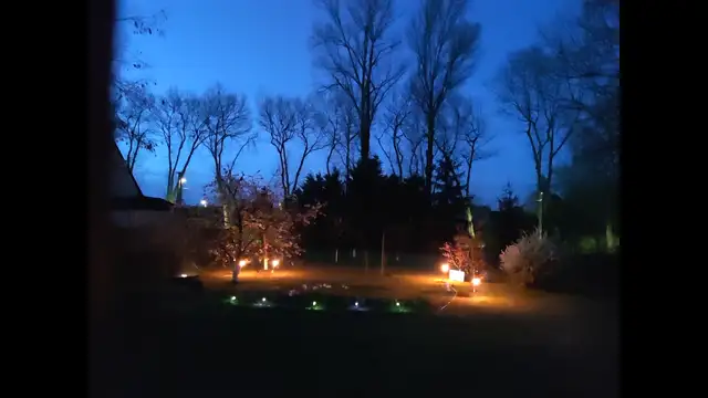 VID_20230405_054019.mp4