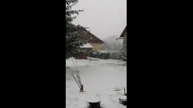 VID_20230406_084825.mp4