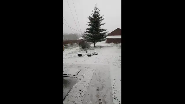 VID_20230406_080831.mp4