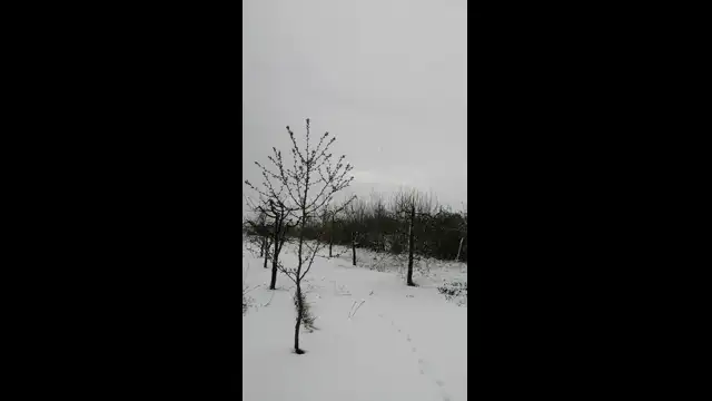 VID_20230406_101052.mp4