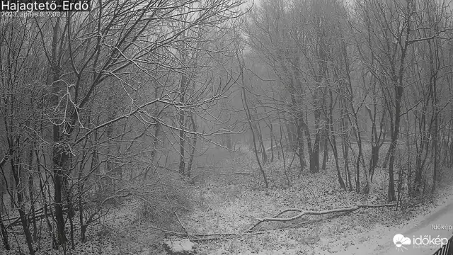 Hajagtető-Erdő (hajag2) gyorsított felvétele