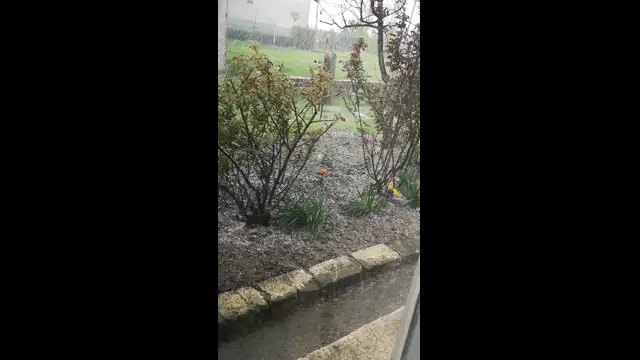 VID_20230417_145127.mp4