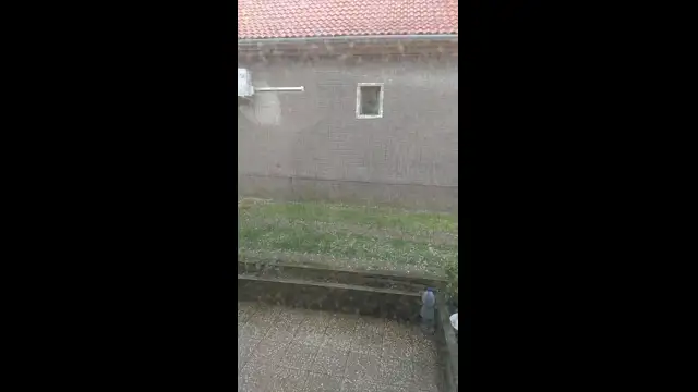 VID_20230429_145818.mp4