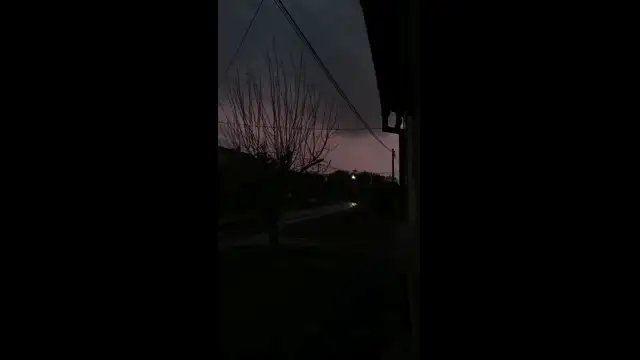 petal_20230429_202057.mp4